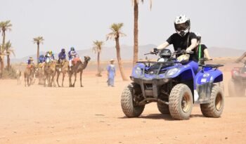 
										2H Quad ride in the Palmeraie of Marrakech full									