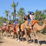 Discover the charm of Marrakech's Palmeraie with our Camel Tour. Traverse lush palm groves on a guided camel adventure. Immerse yourself in local culture as you explore traditional Berber villages. Book now for an unforgettable experience in Marrakech's desert oasis!