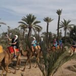 Discover the charm of Marrakech's Palmeraie with our Camel Tour. Traverse lush palm groves on a guided camel adventure. Immerse yourself in local culture as you explore traditional Berber villages. Book now for an unforgettable experience in Marrakech's desert oasis!