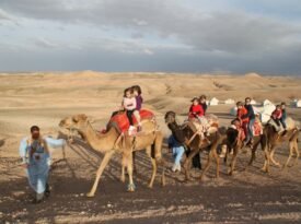 Tour Dromadaire Palmeraies Marrakech