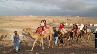 Tour Dromadaire Palmeraies Marrakech