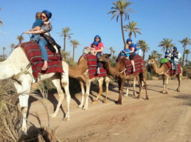 Tour Dromadaire Palmeraies Marrakech