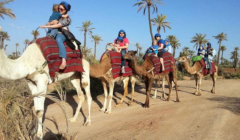 
										Tour Dromadaire Palmeraies Marrakech full									