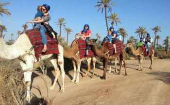Tour Dromadaire Palmeraies Marrakech