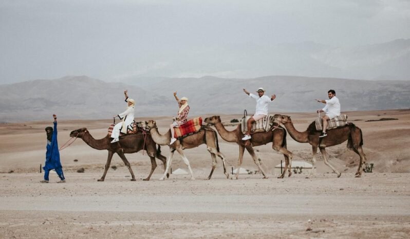 
								Desert Agafay Dromedary Tour full									