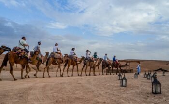 Desert Agafay Dromedary Tour