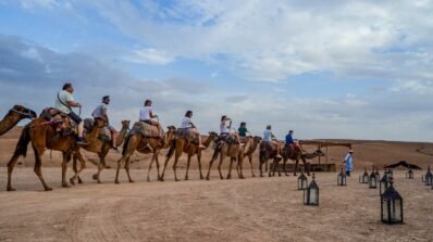 Desert Agafay Dromedary Tour